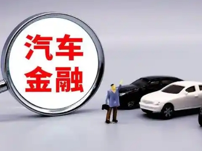 南白押车贷款不是本人可以么?